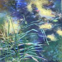 Gazing into the Lily Pond